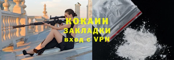 стафф Алексин
