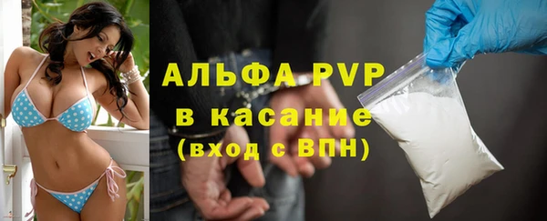 стафф Алексин