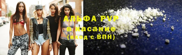 стафф Алексин