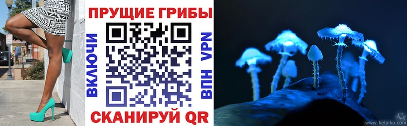 KRAKEN ТОР  Медынь  Псилоцибиновые грибы MAGIC MUSHROOMS  купить наркотики цена 